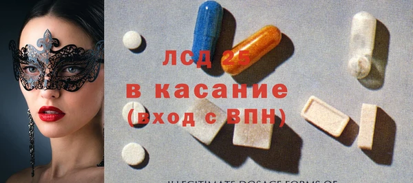 ПСИЛОЦИБИНОВЫЕ ГРИБЫ Няндома