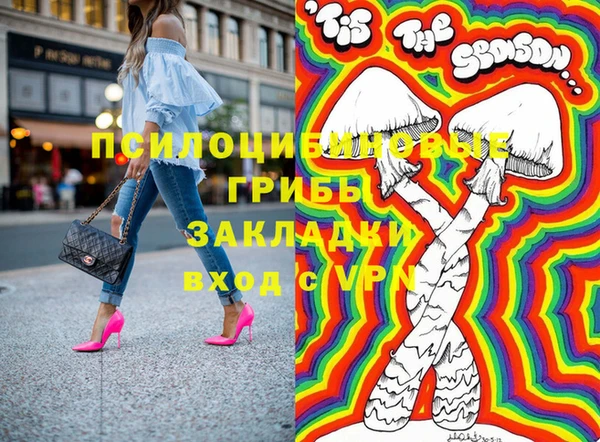 ПСИЛОЦИБИНОВЫЕ ГРИБЫ Няндома