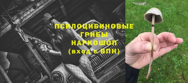 ПСИЛОЦИБИНОВЫЕ ГРИБЫ Няндома