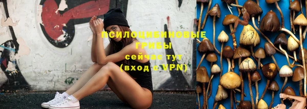метадон Нягань