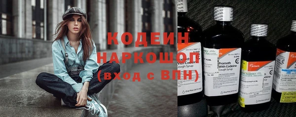 ПСИЛОЦИБИНОВЫЕ ГРИБЫ Няндома