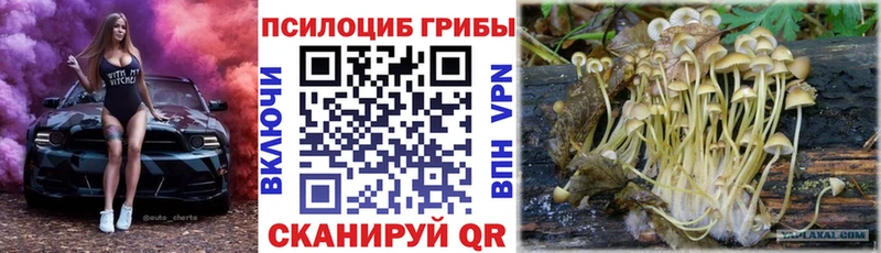 Галлюциногенные грибы ЛСД  цены   Урюпинск 
