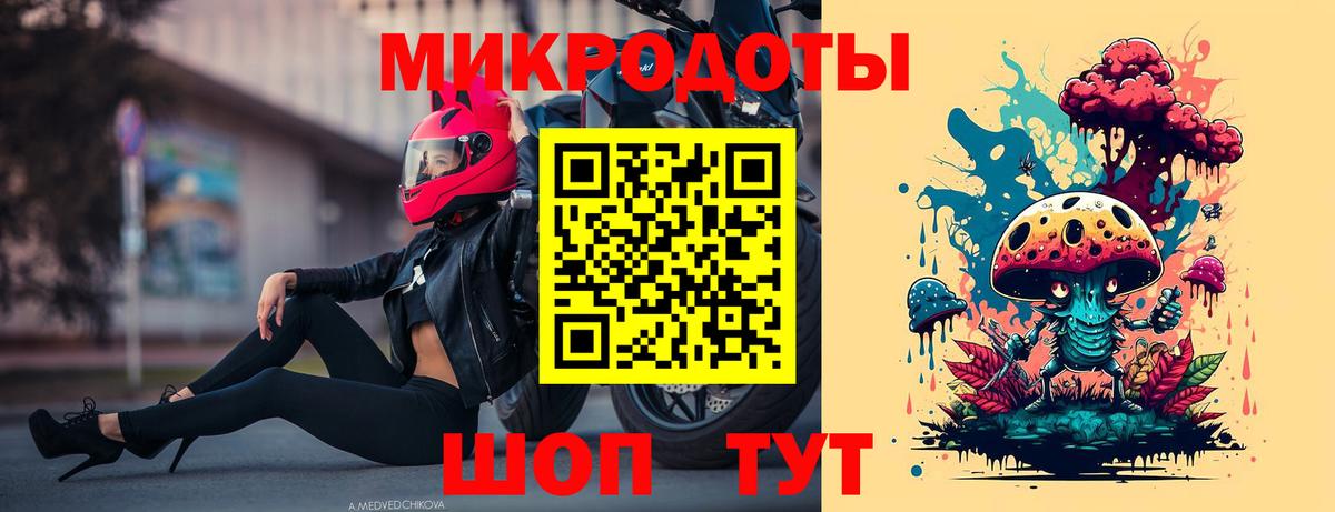 Псилоцибиновые грибы Psilocybe Урюпинск