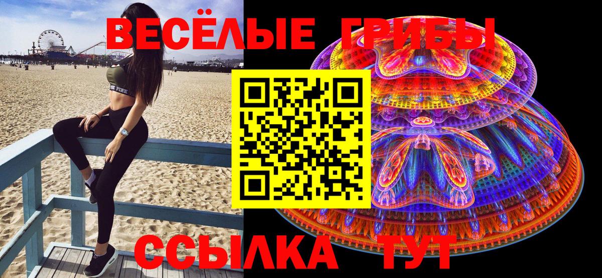 Урюпинск  Псилоцибиновые грибы Psilocybe  Вход с VPN 